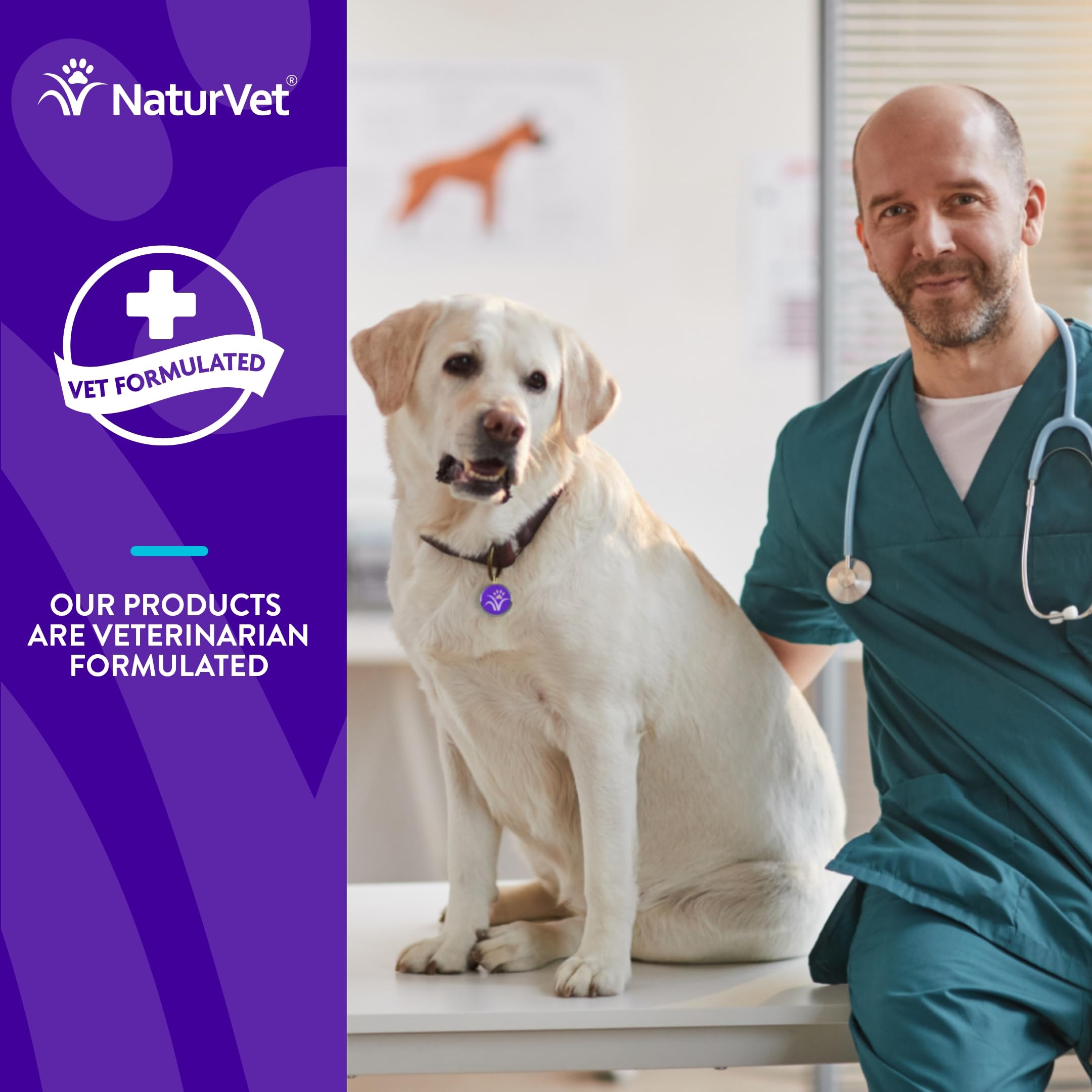 NaturVet Evolutions bacillus subtilis probiotic bottle underscoring gut health support.