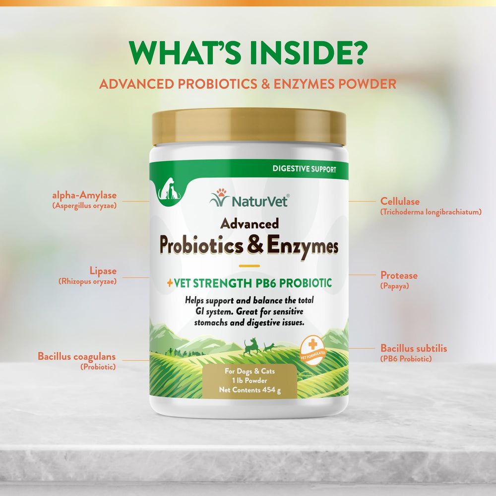 NaturVet flavored probiotic powder with a scoop for easy feeding.