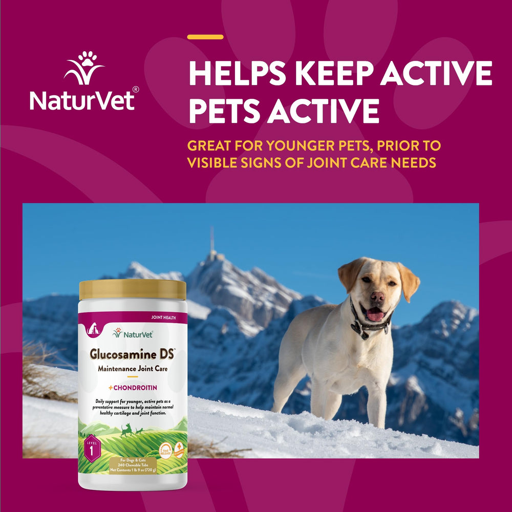 NaturVet Glucosamine DS Level 1 ingredients list featuring chondroitin and glucosamine