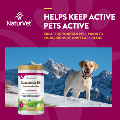NaturVet Glucosamine DS Level 1 ingredients list featuring chondroitin and glucosamine