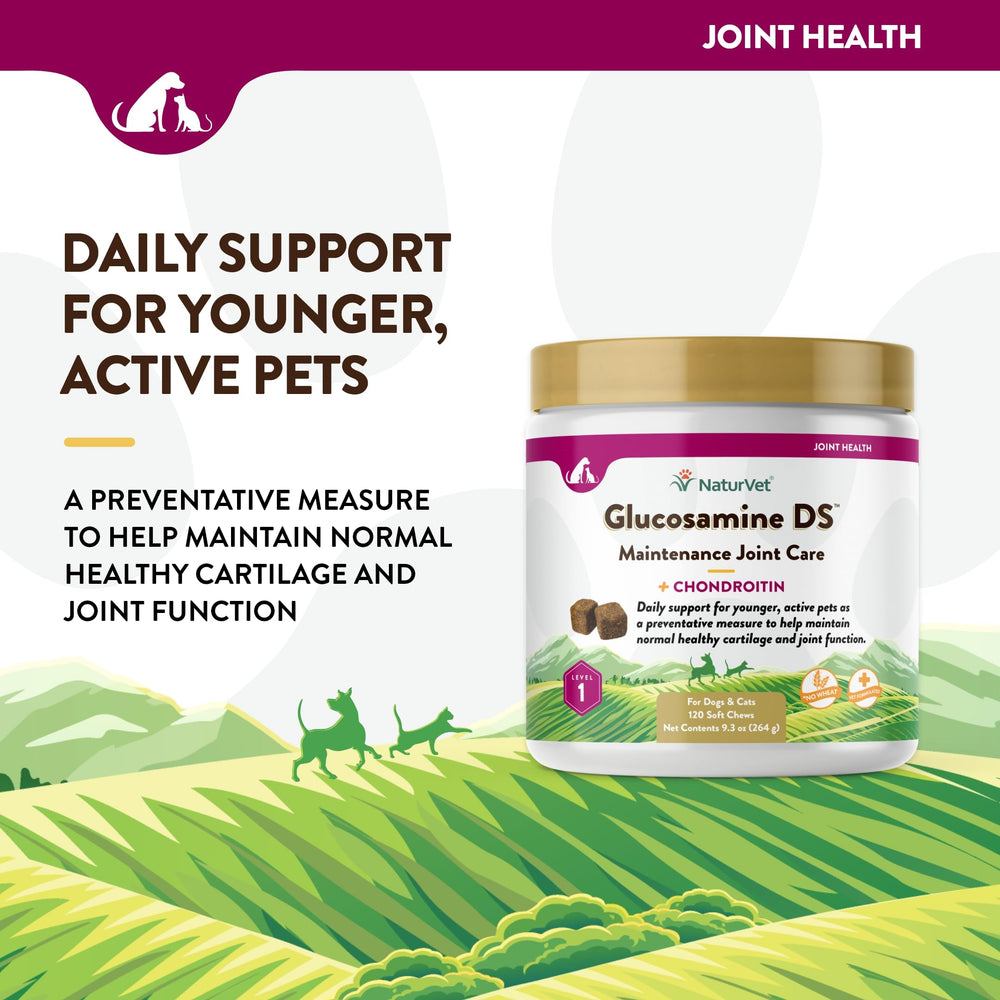 NaturVet Glucosamine DS Level 1 ingredients label highlights glucosamine and chondroitin