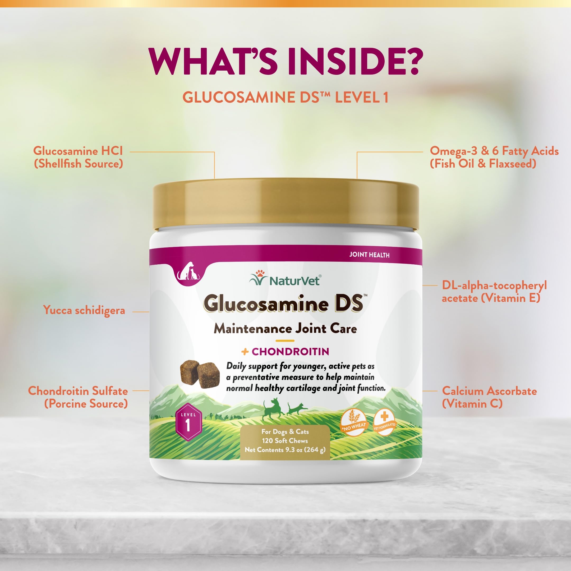 NaturVet Glucosamine DS Level 1 soft chews dog-cat in-use scene implies cross-species support