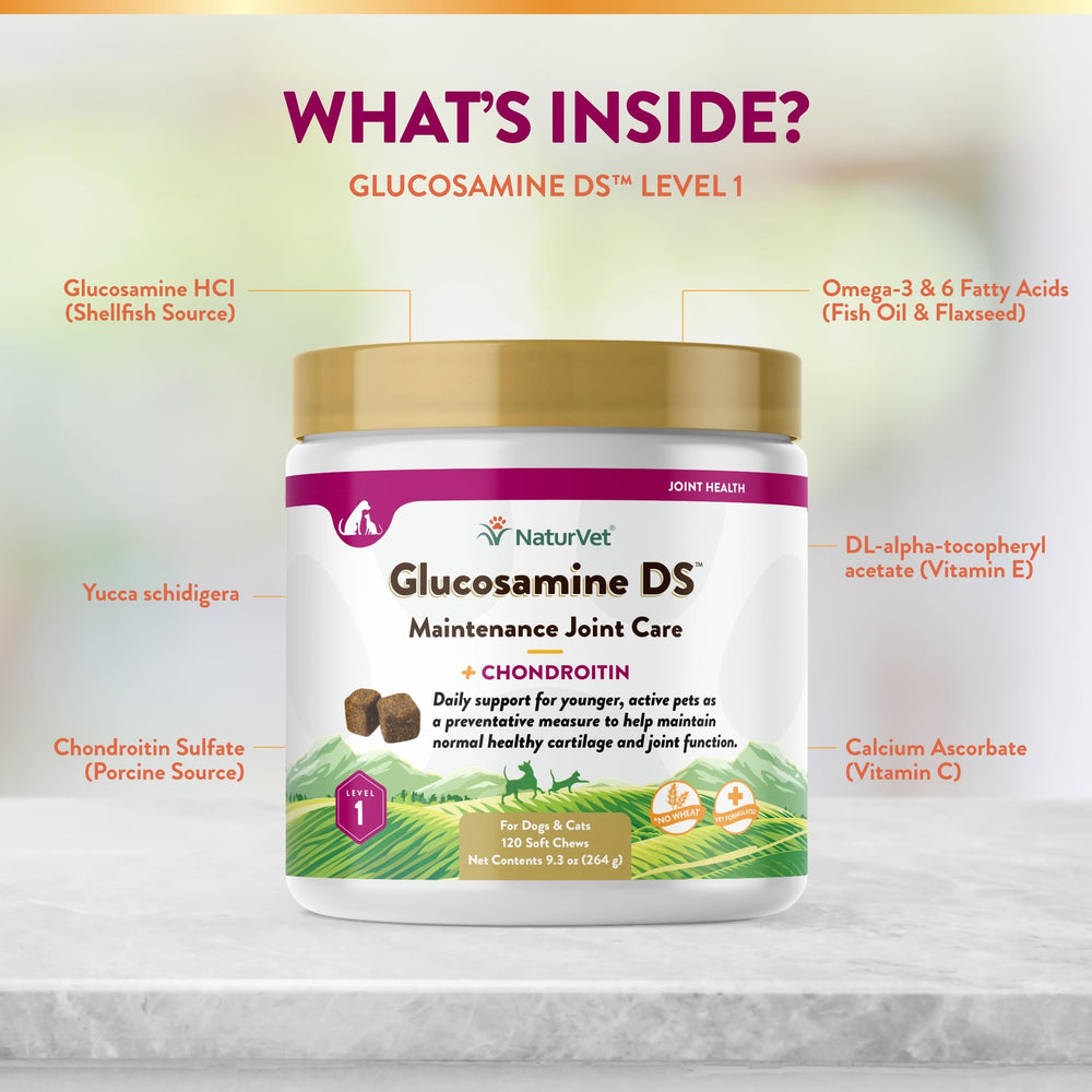 NaturVet Glucosamine DS Level 1 soft chews dog-cat in-use scene implies cross-species support