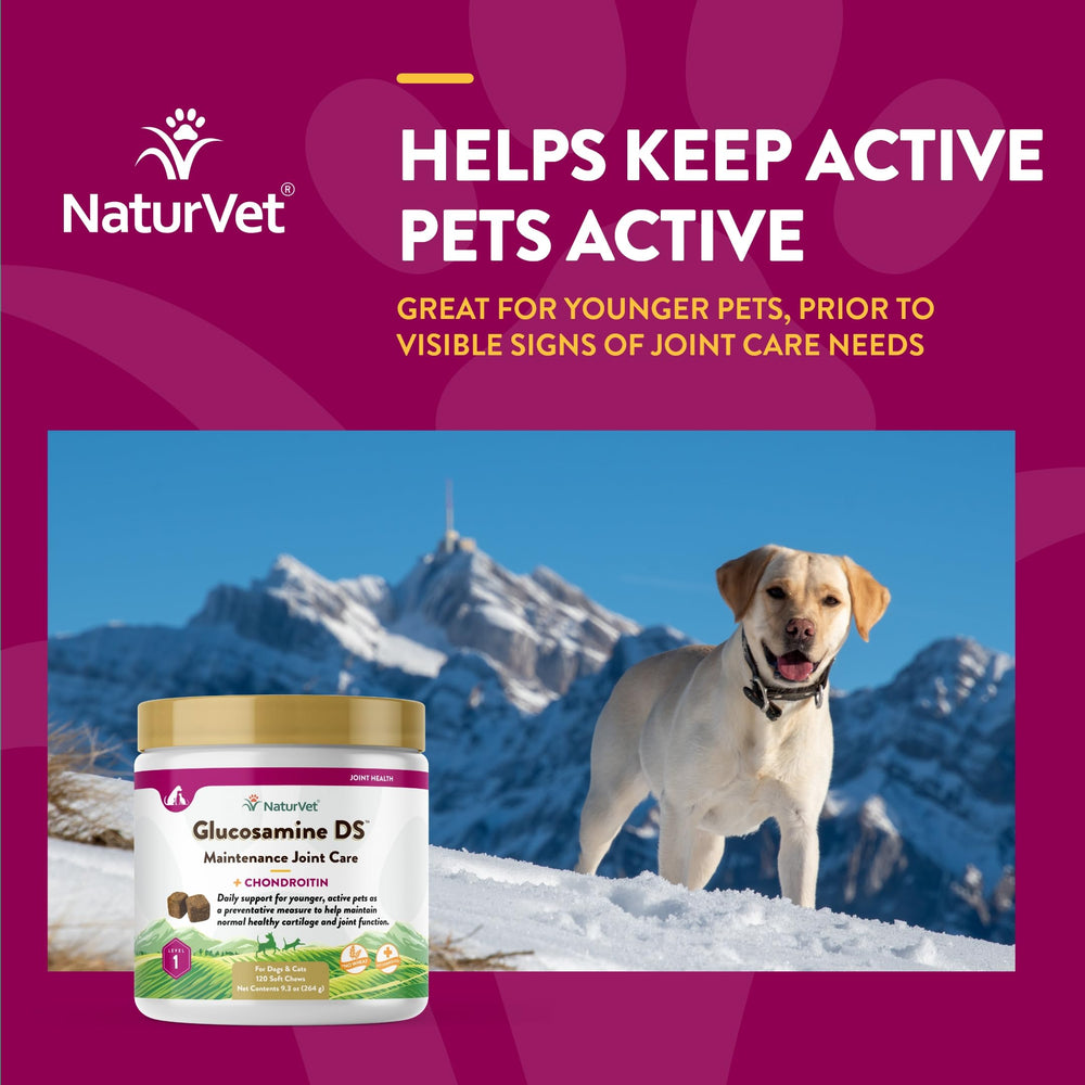 NaturVet Glucosamine DS Level 1 soft chews texture closeup suggests a soft, chewable format