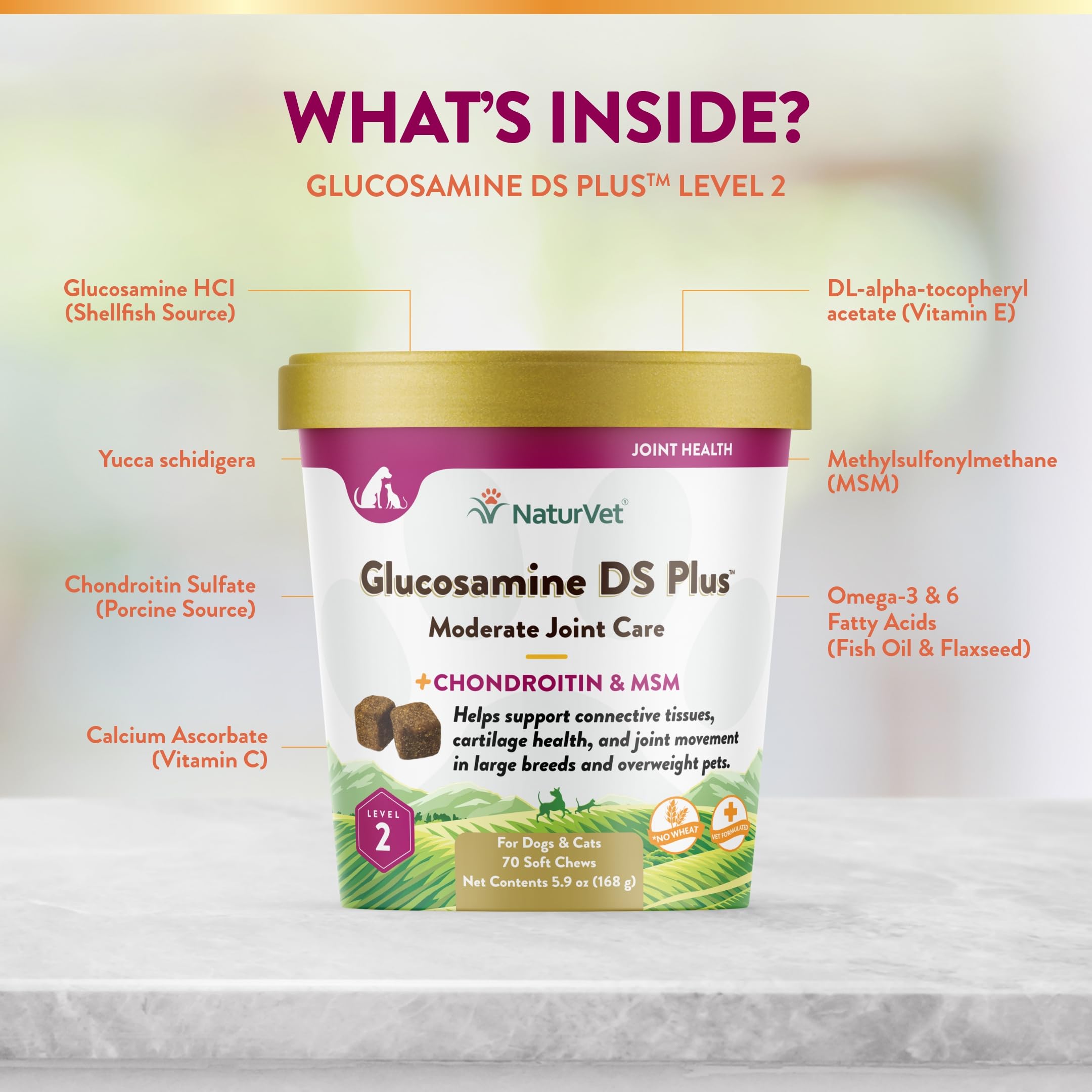NaturVet Glucosamine DS Plus includes antioxidants for cellular vitality.