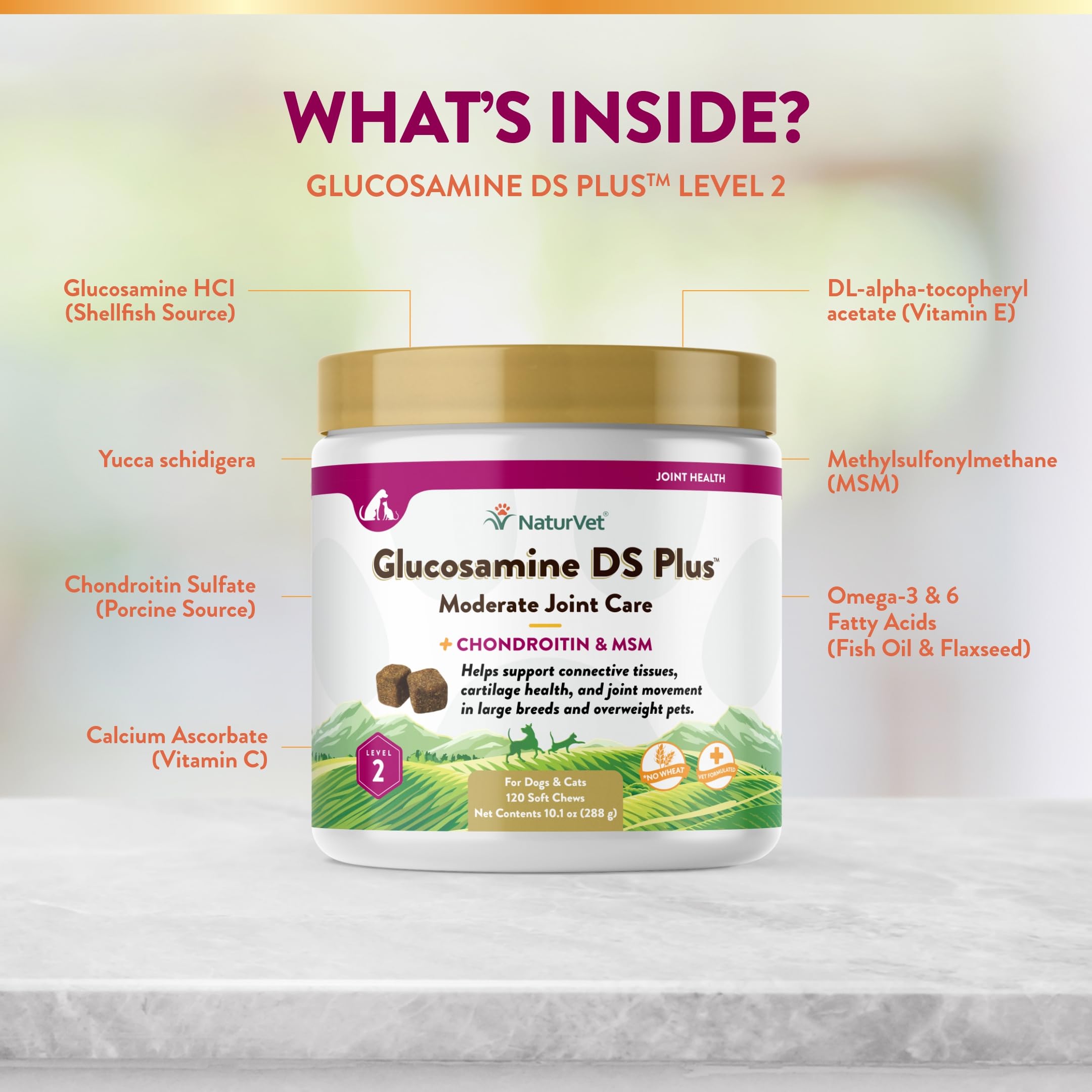 NaturVet Glucosamine DS Plus with chondroitin and MSM ingredients close-up for joint support