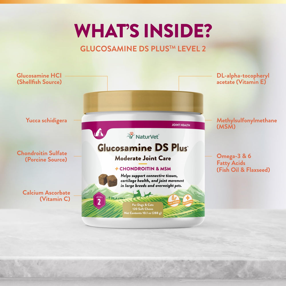 NaturVet Glucosamine DS Plus with chondroitin and MSM ingredients close-up for joint support
