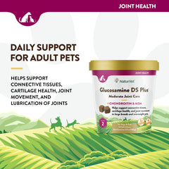 NaturVet Glucosamine DS Plus supports joint movement in active dogs and cats.