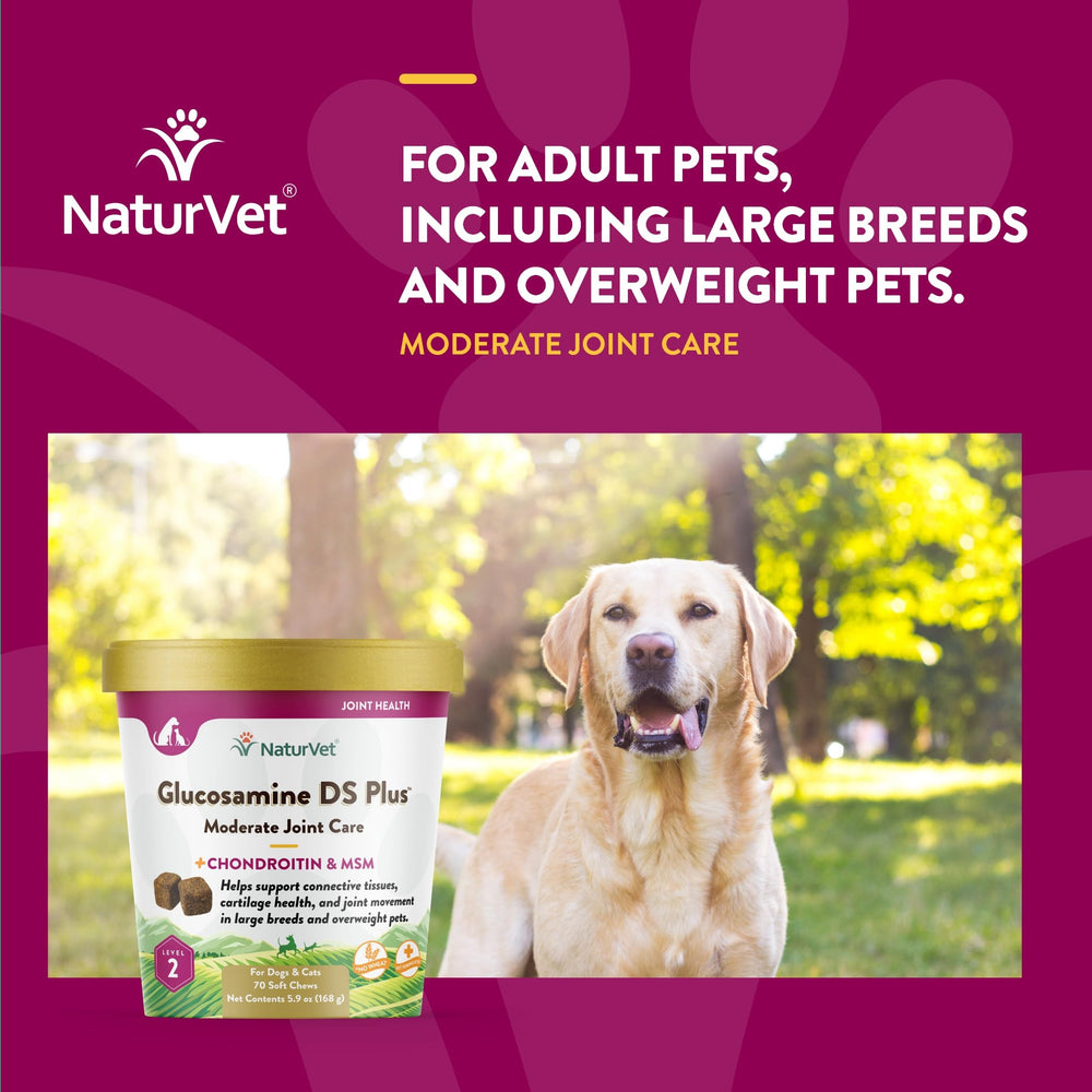 NaturVet Glucosamine DS Plus soft chew flavor appeals to pets.