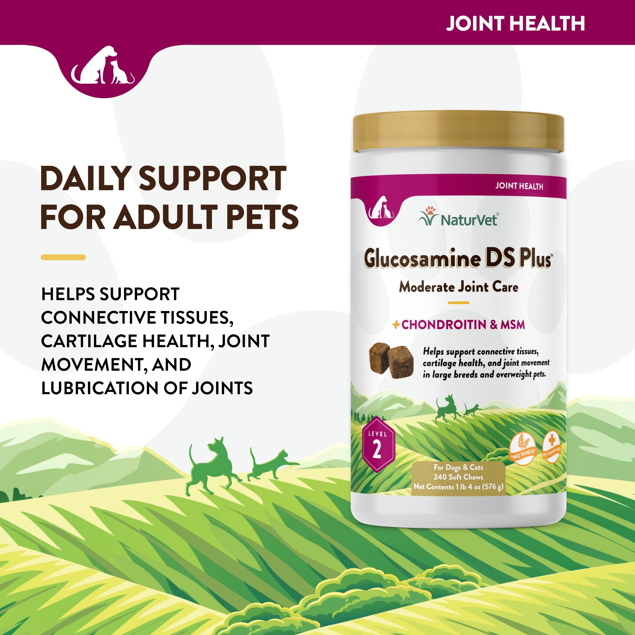 NaturVet Glucosamine DS Plus ingredients highlight glucosamine MSM and chondroitin