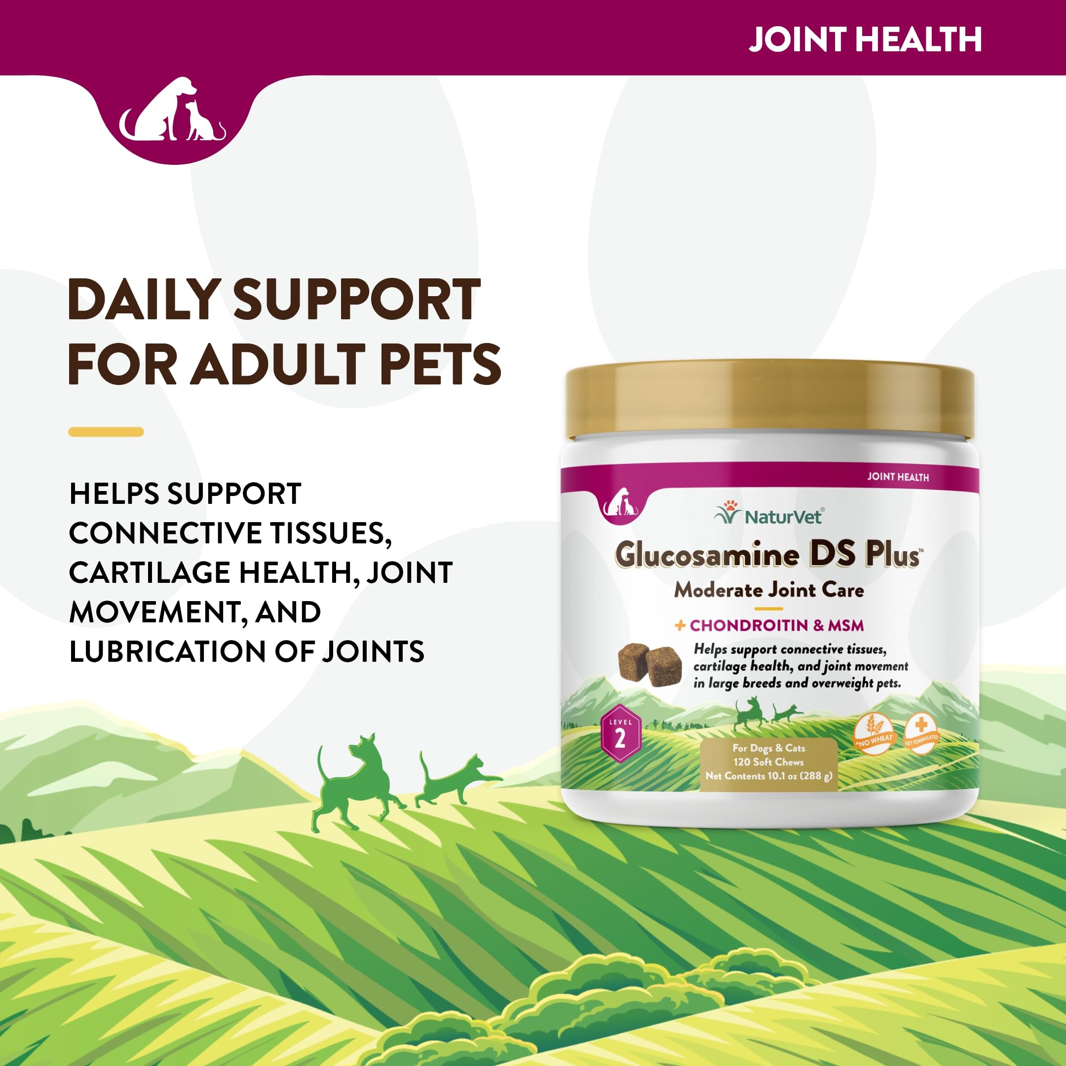 NaturVet Glucosamine DS Plus level 2 bottle on shelf supporting pet mobility