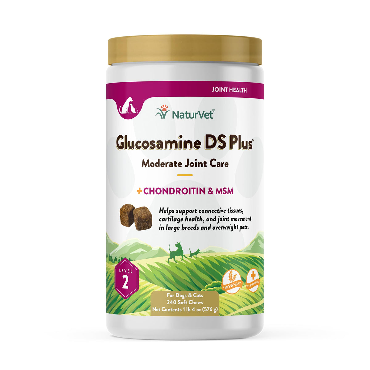 NaturVet Glucosamine DS Plus soft chews jar closeup for joint support