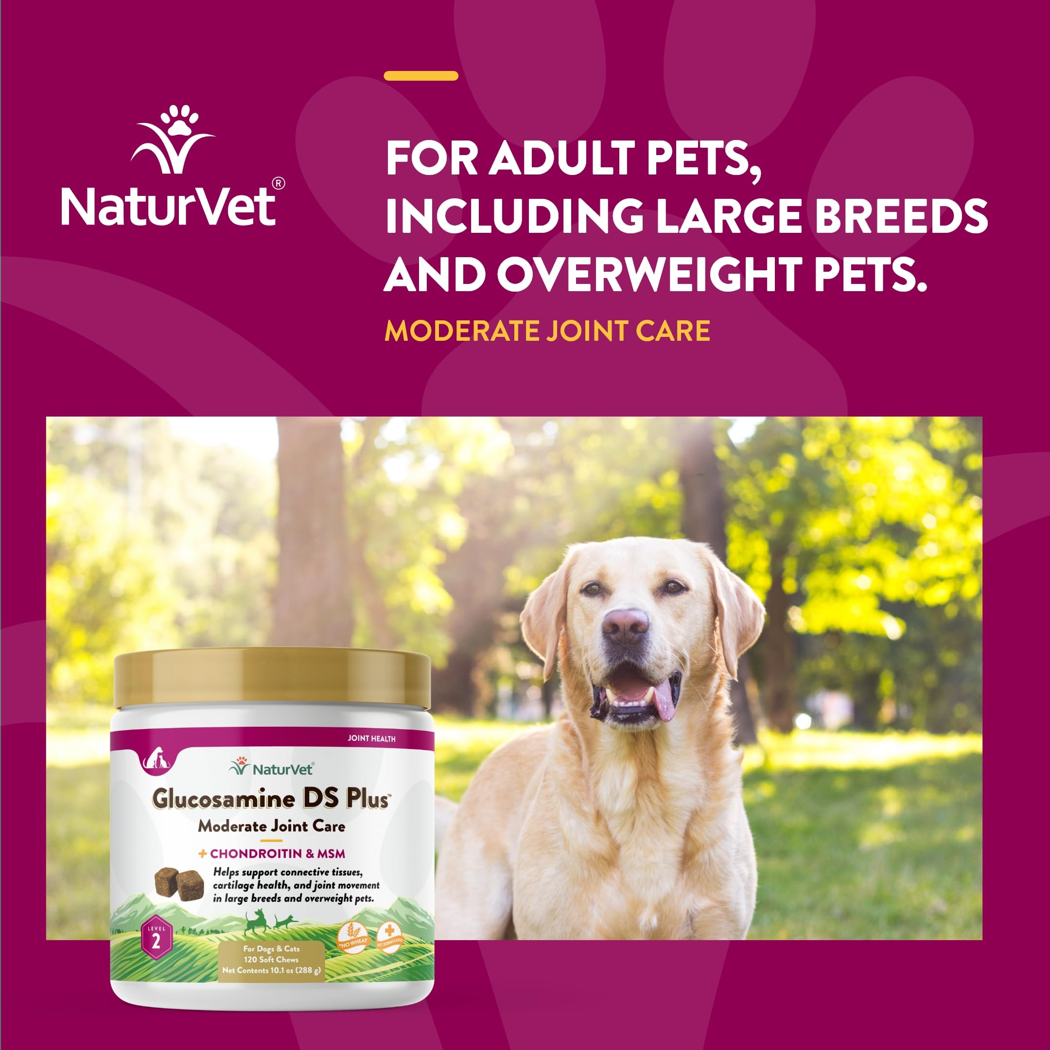 NaturVet Glucosamine DS Plus soft chews texture emphasizes chew-friendly formula for pets