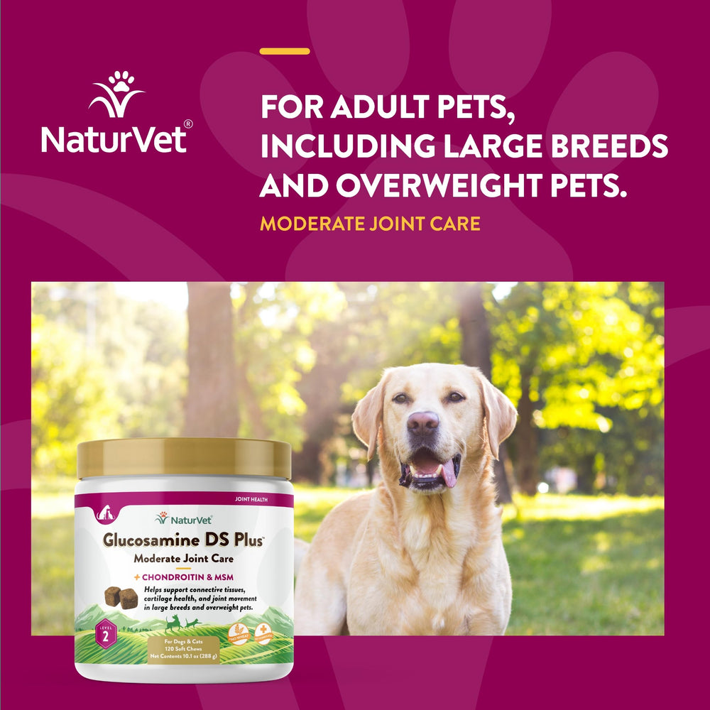 NaturVet Glucosamine DS Plus soft chews texture emphasizes chew-friendly formula for pets