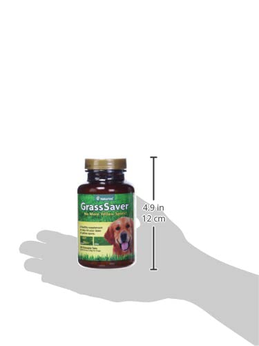 NaturVet GrassSaver dog chewing demonstrates a convenient daily supplement ritual.