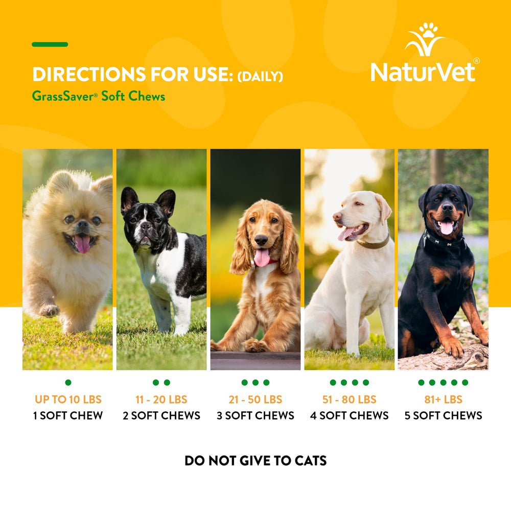 NaturVet GrassSaver lawn with yellow spots before treatment.