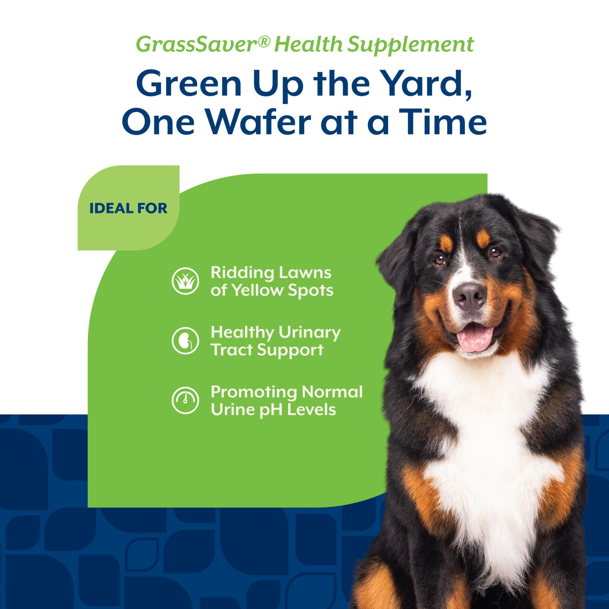 Enzyme blend detail in NaturVet GrassSaver Wafers