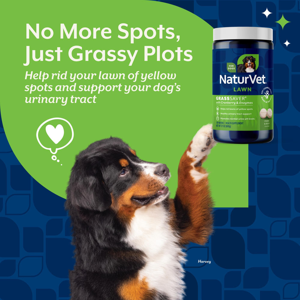 Ingredient focus on NaturVet GrassSaver Wafers with B-complex vitamins