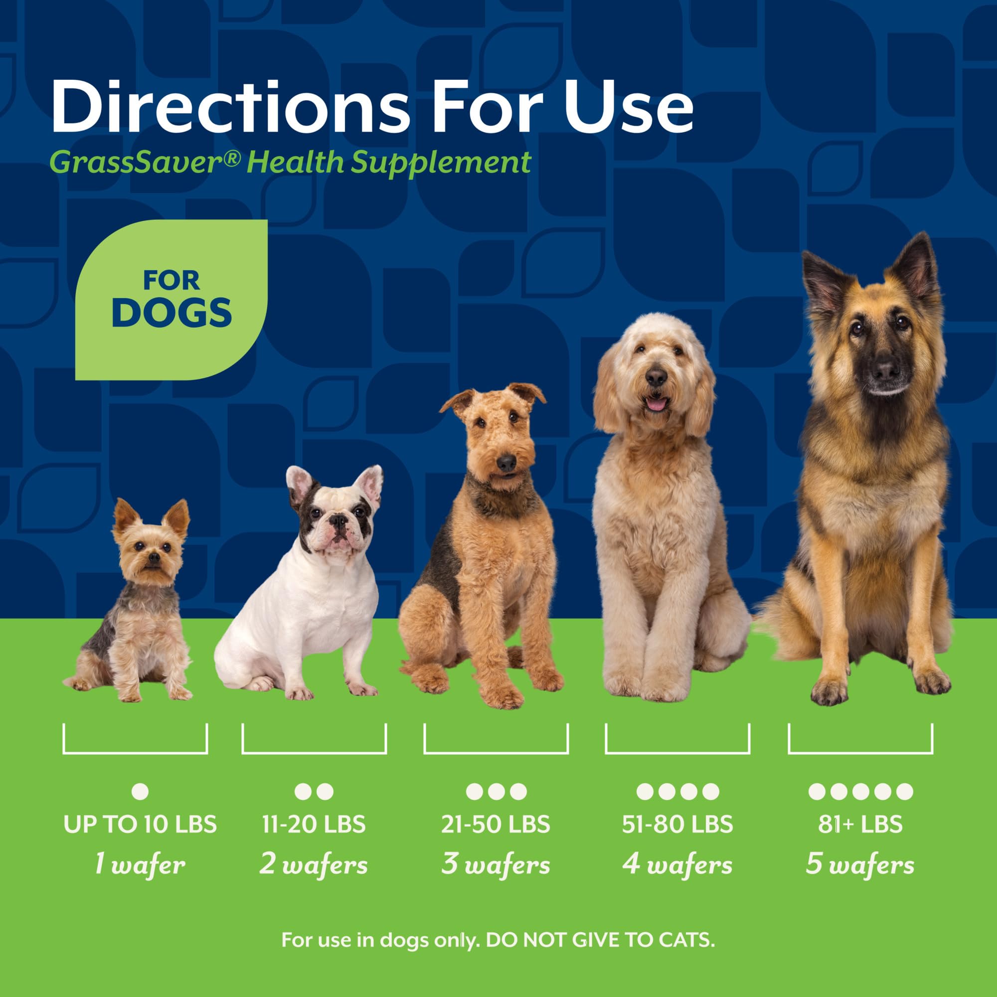 Lush green lawn alongside a healthy dog after GrassSaver use