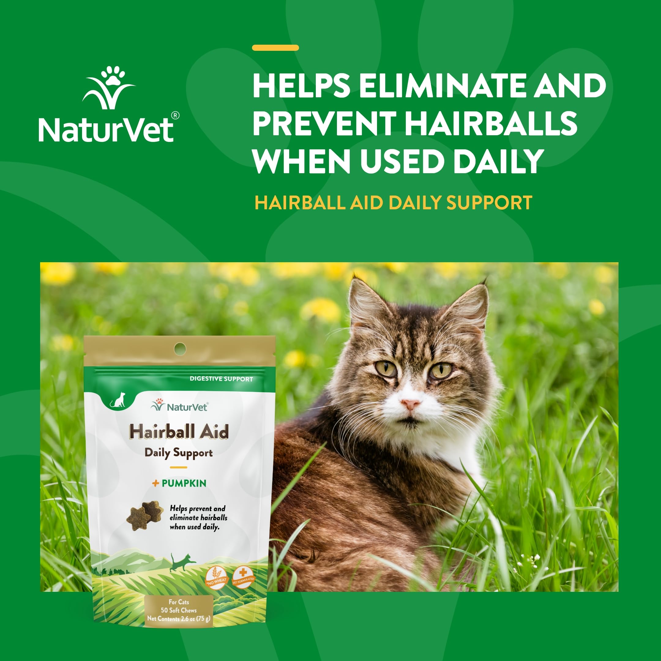 NaturVet Hairball Remedy pumpkin ingredient highlights fiber for digestion.