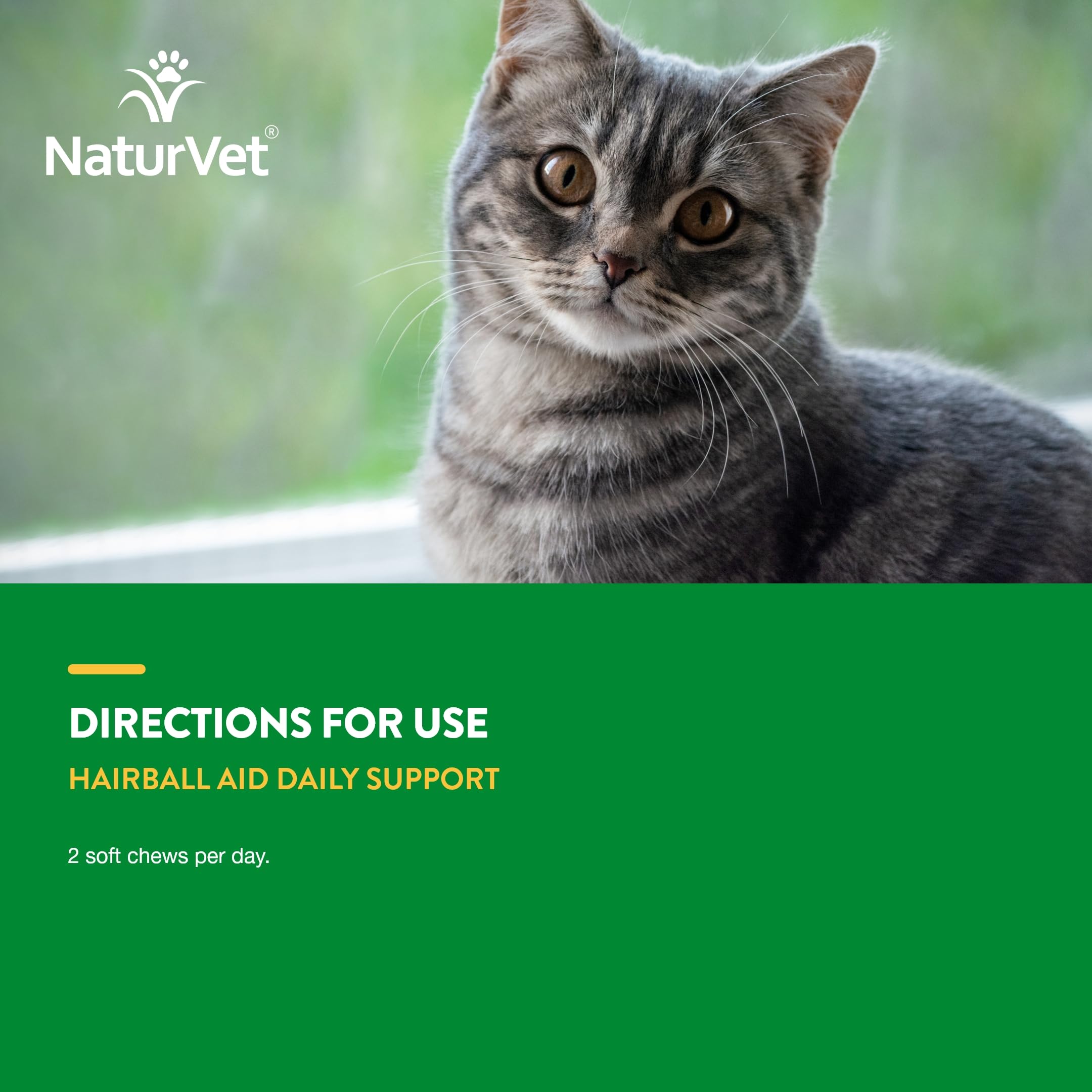 NaturVet Hairball Remedy serving dish ready for daily cat treats.