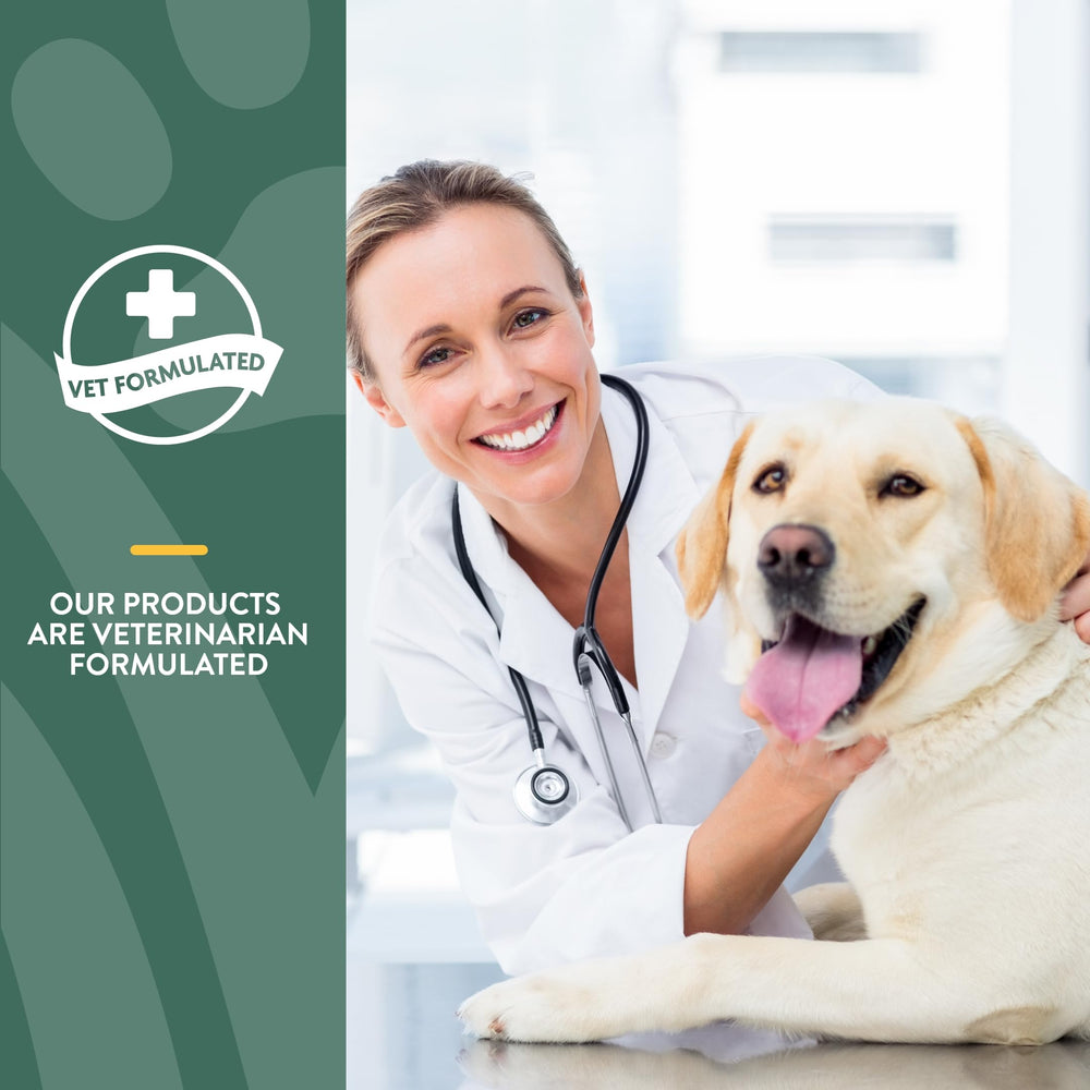 NaturVet Hemp Joint Health soft chews glucosamine and chondroitin focus.