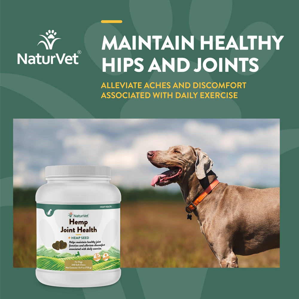 NaturVet Hemp Joint Health soft chews dog running to illustrate mobility.
