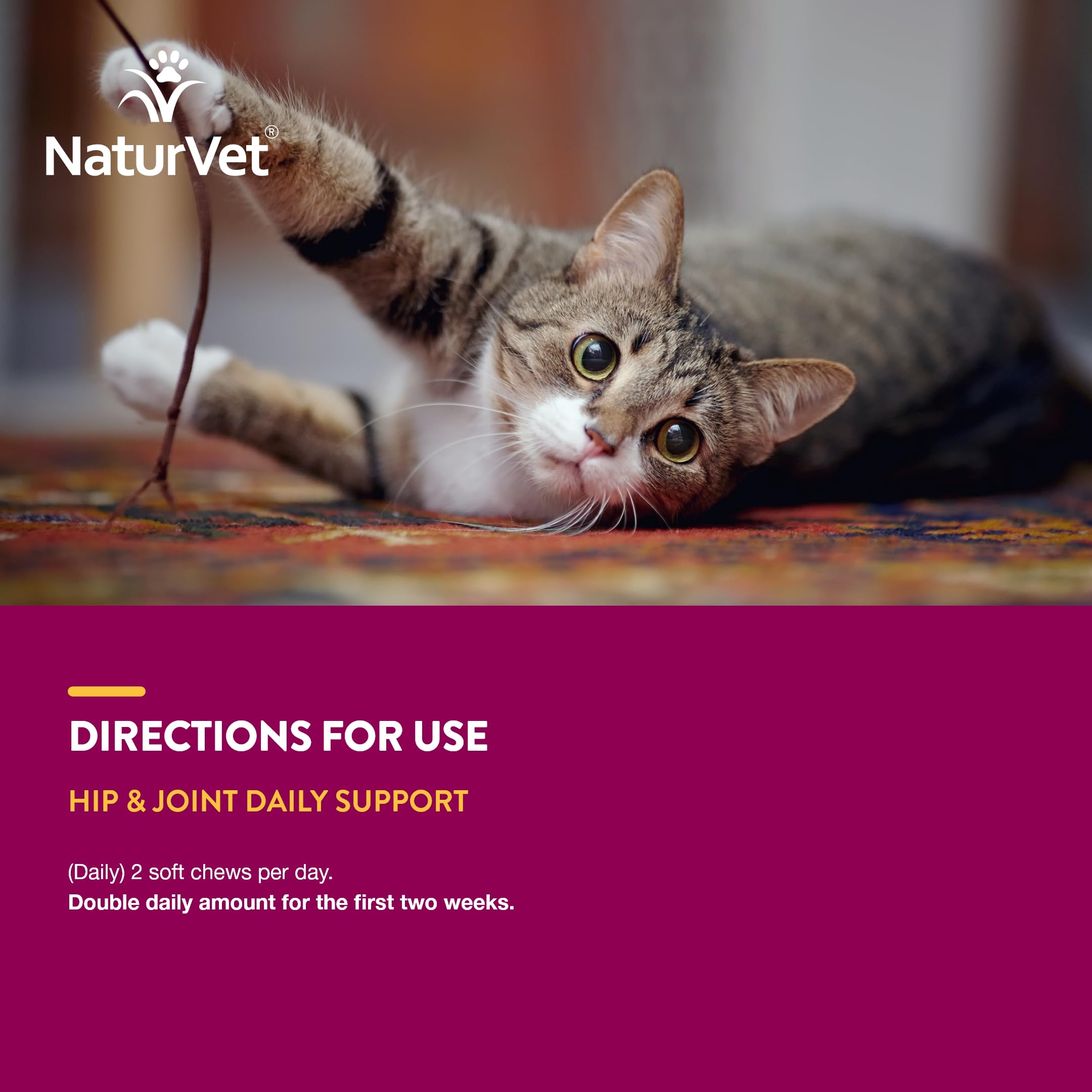 NaturVet Hip & Joint Cat Soft Chews Plus Omegas 30-day supply box highlights value.