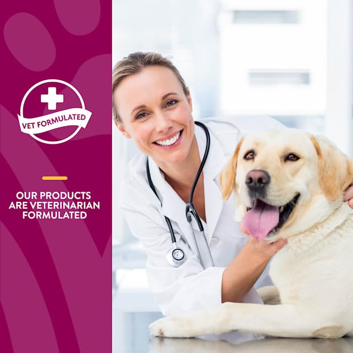 NaturVet Joint Health Level 3 soft chews for senior dogs supporting mobility