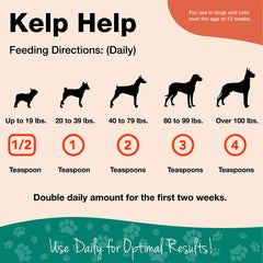 NaturVet Kelp Help Plus Omegas coat closeup shows a healthy, glossy fur look