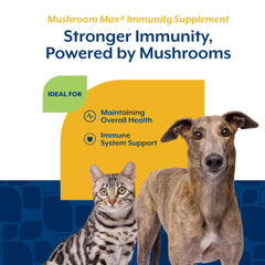 NaturVet Mushroom Max Advanced Ingredients Reishi emphasizes immune-supporting mushroom formula.