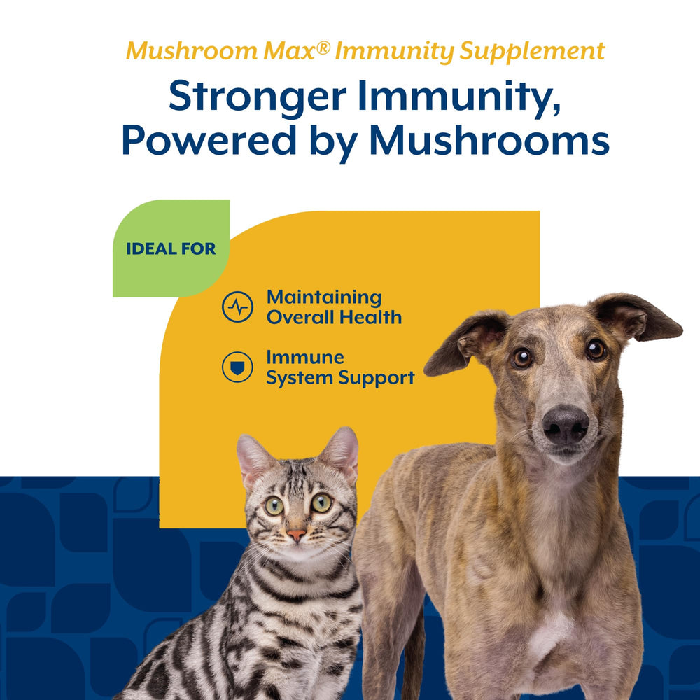 NaturVet Mushroom Max bottle with dog meal shows easy daily administration