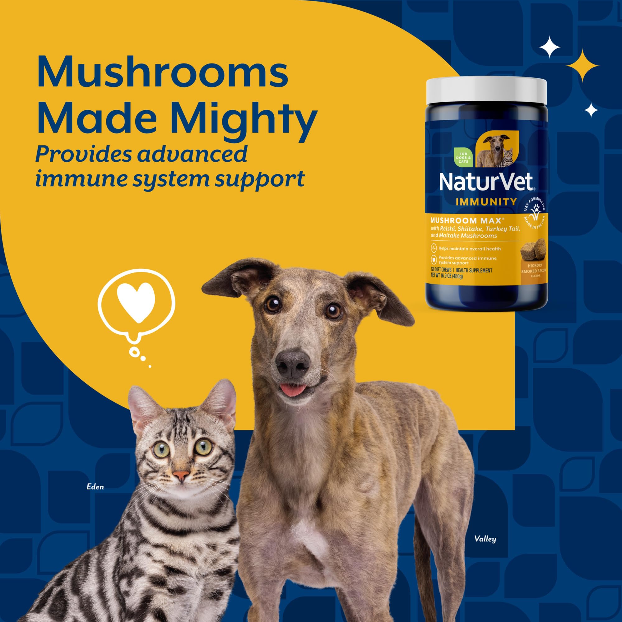 NaturVet Mushroom Max powder scoop illustrating daily serving for canine vitality