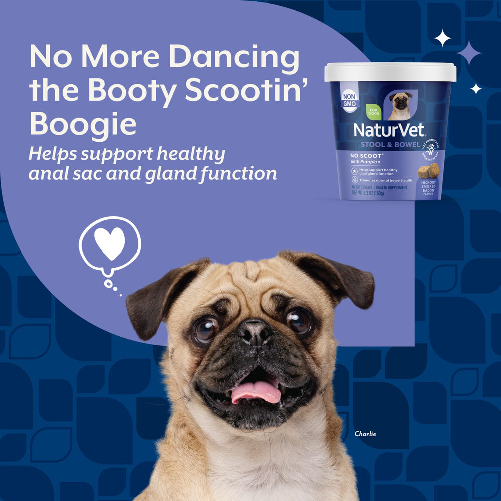 NaturVet No Scoot dog-eating soft chews on floor shows palatable texture.