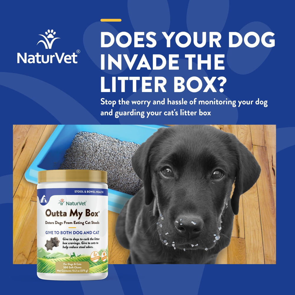 NaturVet Outta My Box close-up chews showing odor reduction around litter