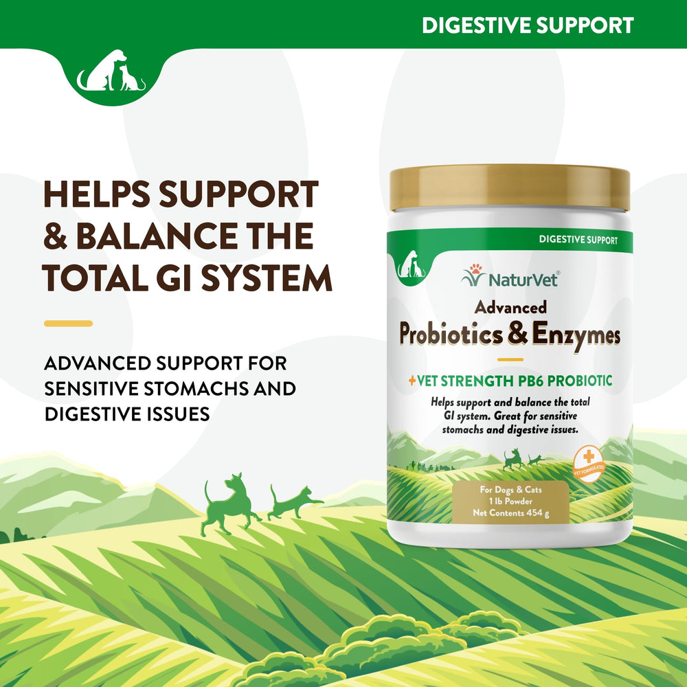 NaturVet PB6 probiotic powder for dogs and cats supports gut health.