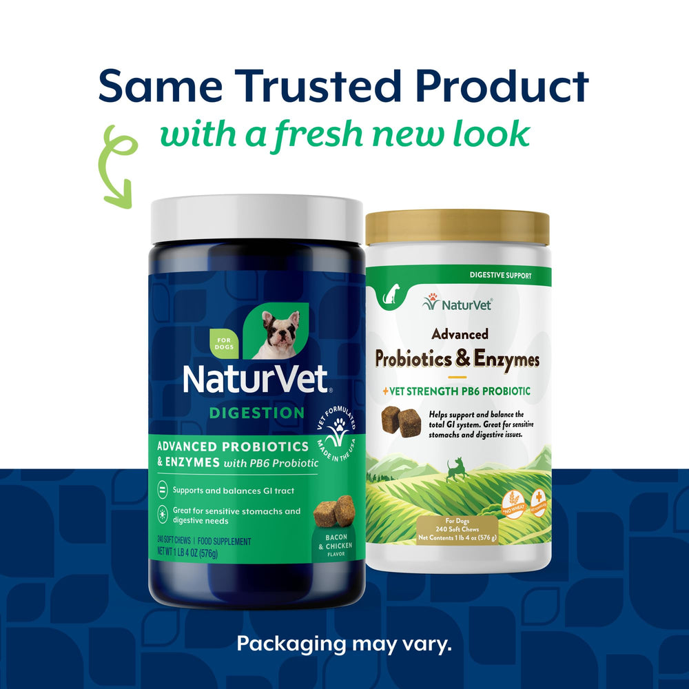 NaturVet PB6 probiotics dog chews highlight gut-supporting formula for ongoing digestion