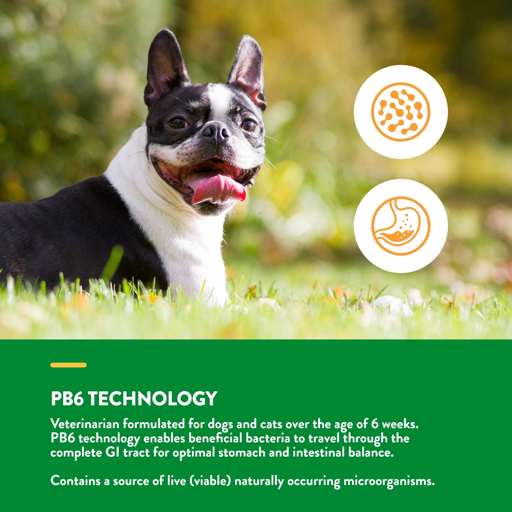 NaturVet PB6 technology graphic illustrating probiotics traveling through the GI tract.