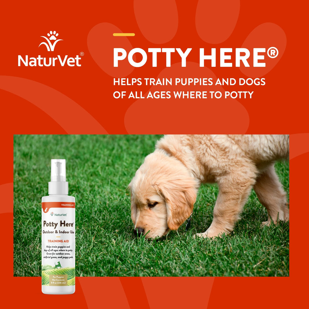 NaturVet Potty Here indoor outdoor use demonstration
