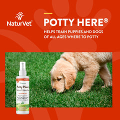 NaturVet Potty Here indoor outdoor use demonstration