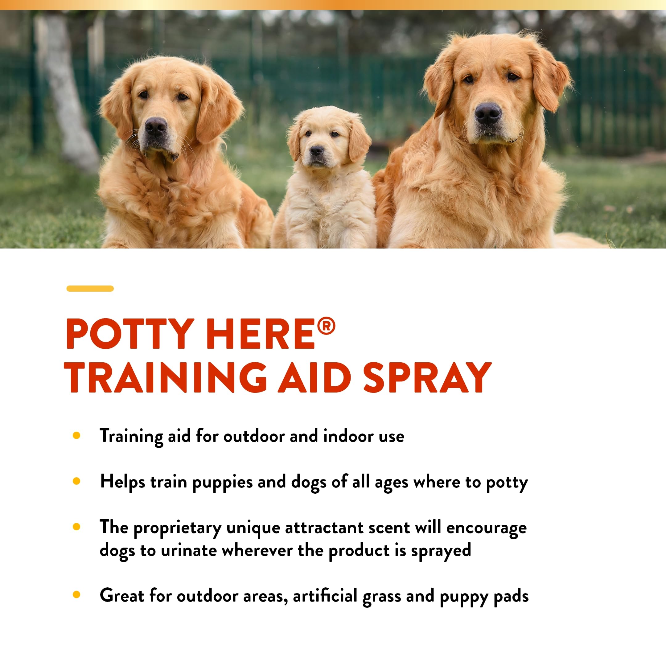 NaturVet Potty Here training on puppy pads or turf