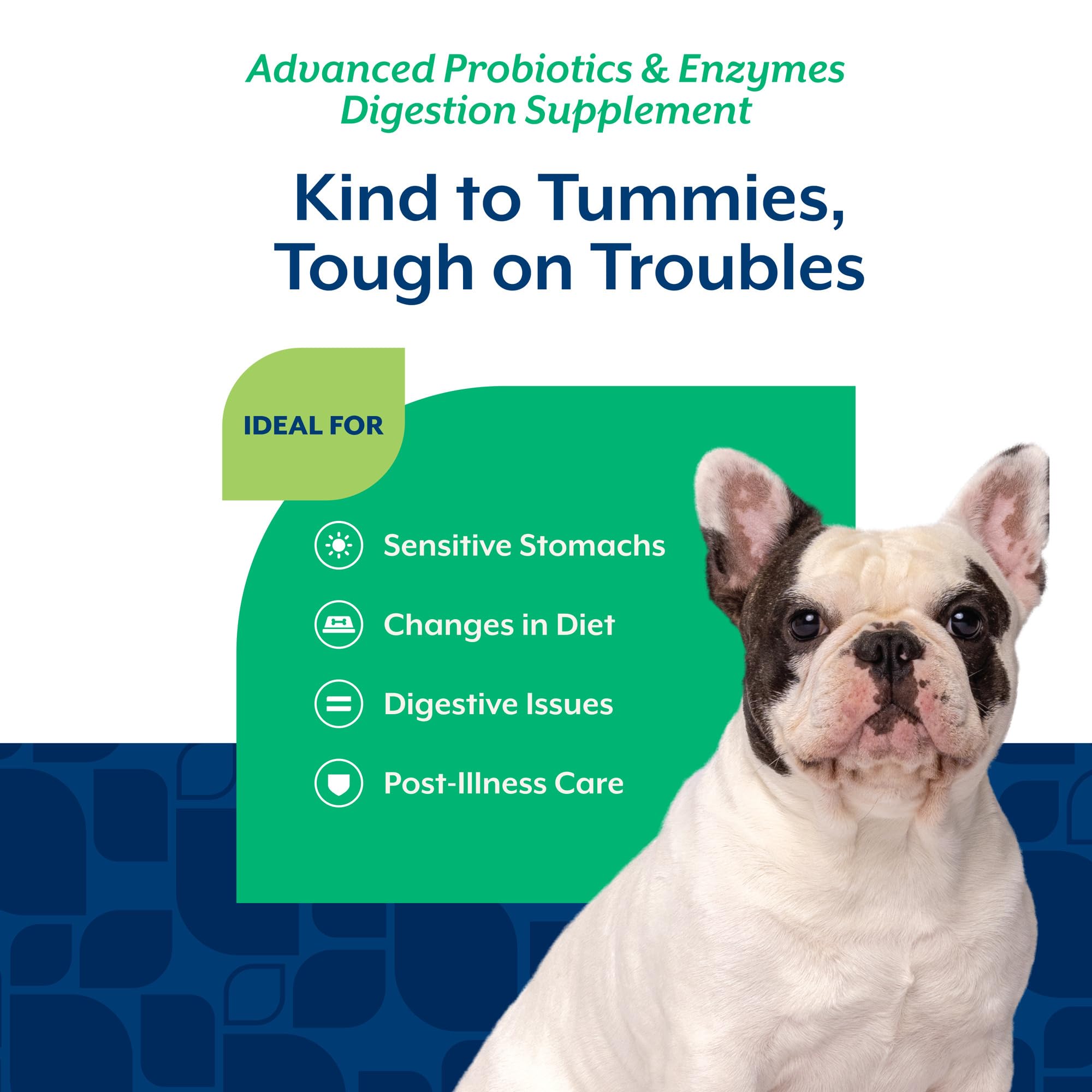 NaturVet probiotic blend label highlights enzymes for digestive comfort.