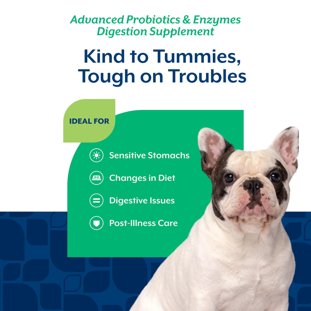 NaturVet probiotic blend label highlights enzymes for digestive comfort.