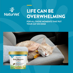 NaturVet Quiet Moments bottle pour shows easy travel and storm dosing