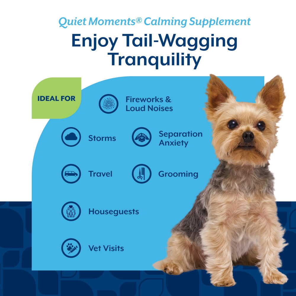 NaturVet Quiet Moments dog calm remedy labeled for vet visits and fireworks nights.