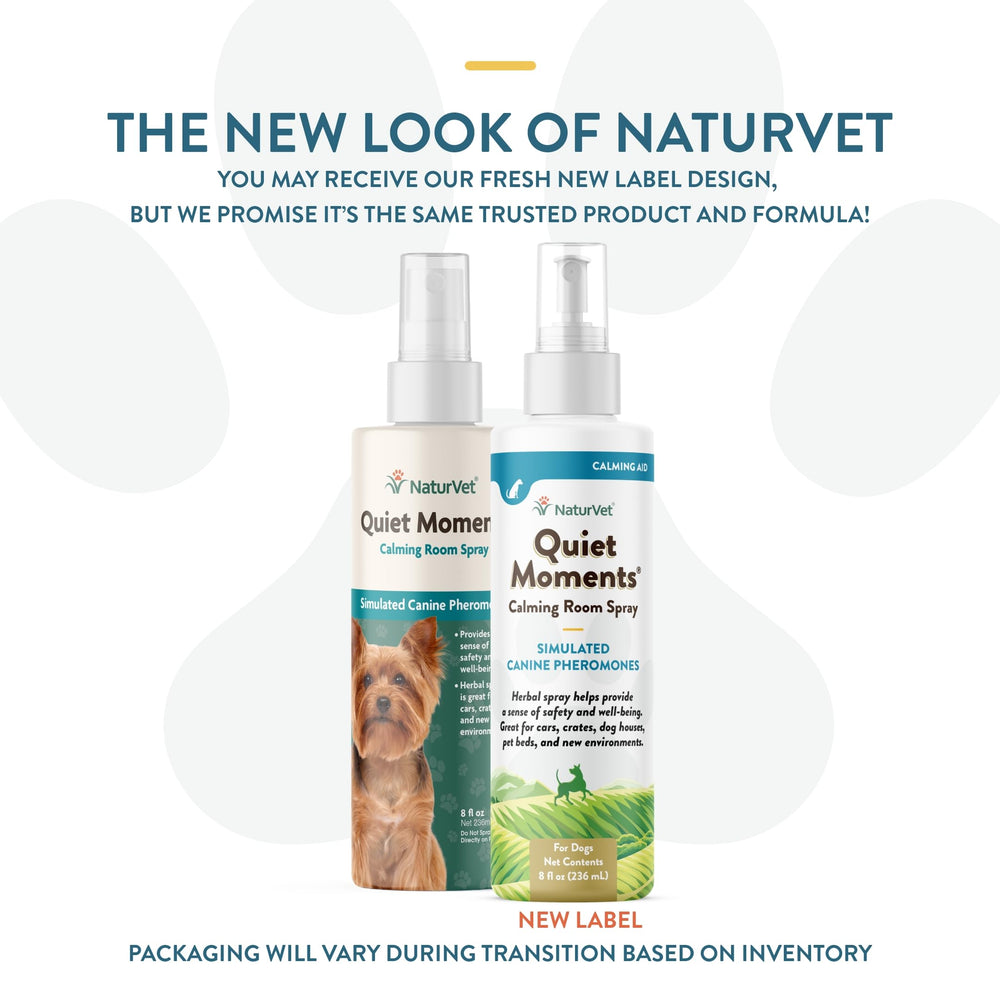 NaturVet Quiet Moments room spray mist in living room to calm dogs.