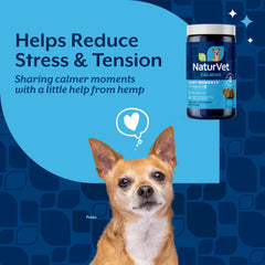 NaturVet Quiet Moments soft chews close-up, palatable anxiety relief in a treat.