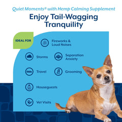 NaturVet Quiet Moments chews depicted as a dog enjoys one before fireworks.
