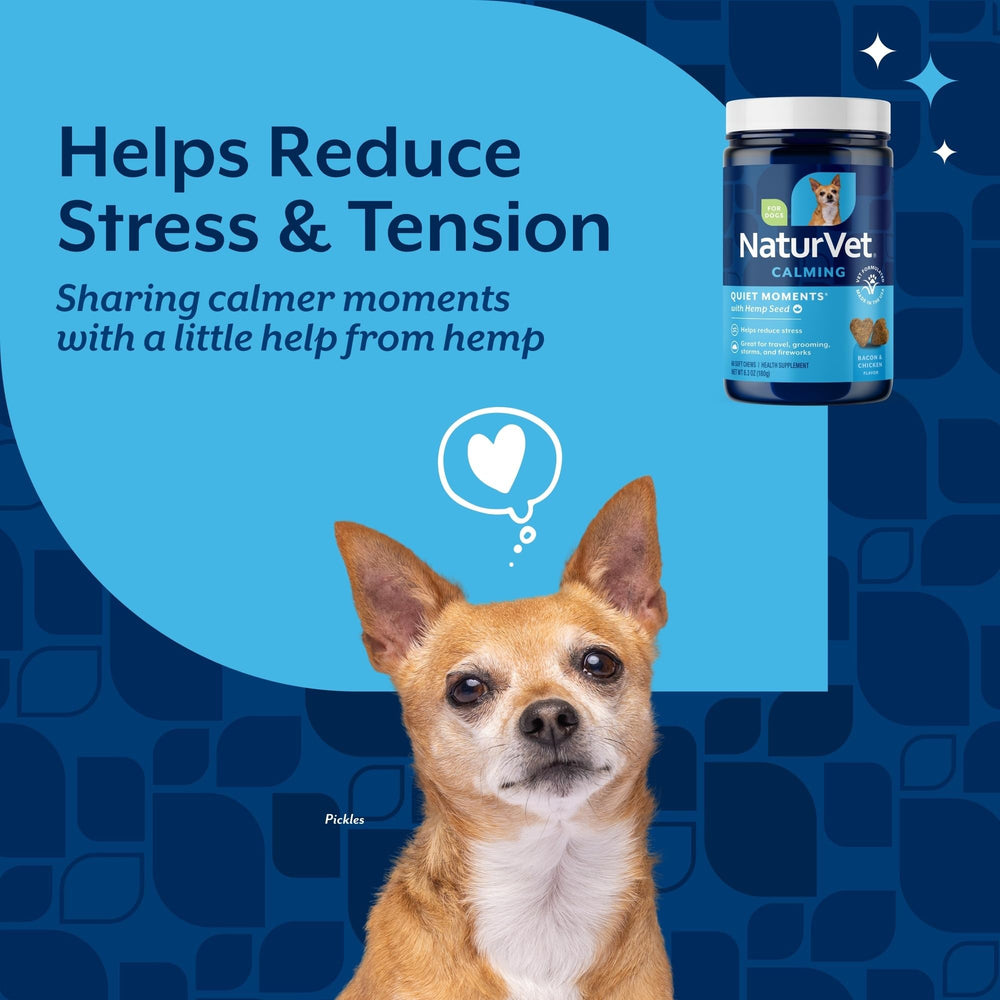 NaturVet Quiet Moments soft chews shown with a traveling dog for stress relief.