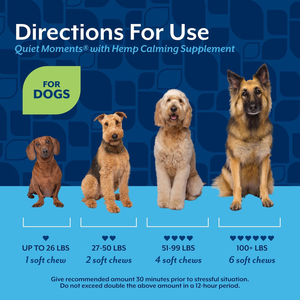 NaturVet Quiet Moments calming aid used during storms with a calm, content dog.